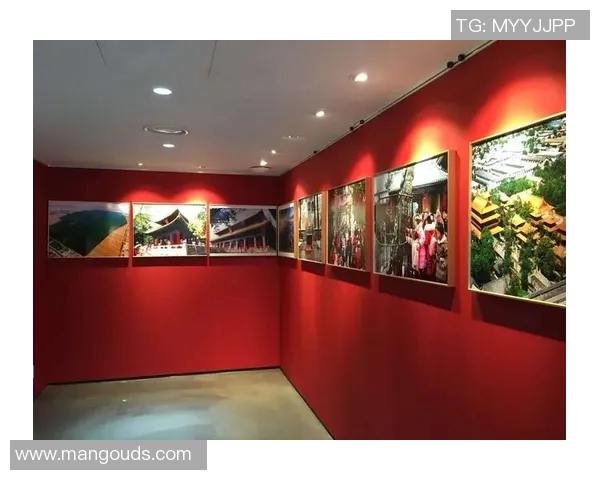 韩国与中国央视网的对比分析与文化交流探讨