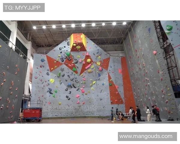 武汉攀岩队实力强劲荣登全国攀岩力量排行榜第八名